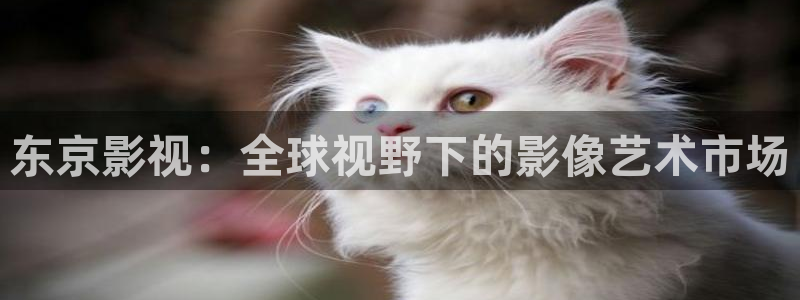 西瓜影院电影免费在线看完整版