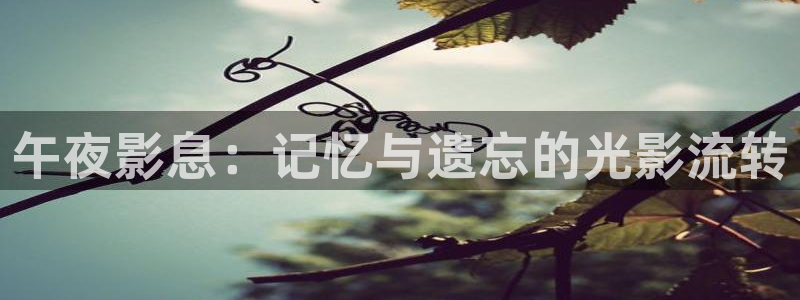 西瓜在线电影网