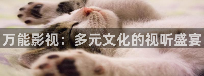 韩国电影西瓜影院