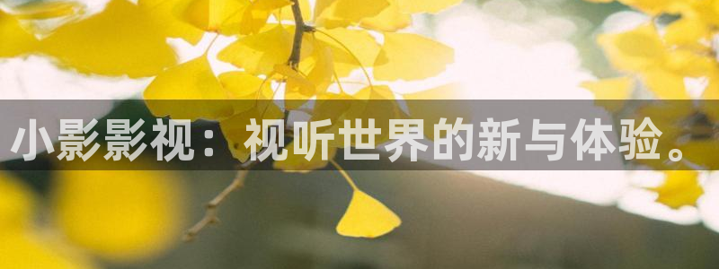 神马西瓜电影：小影影视：视听世界的新与体验。