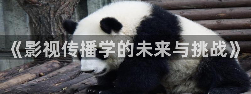 最新电影西瓜：《影视传播学的未来与挑战》